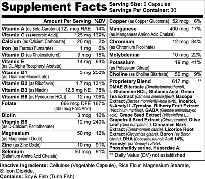 Nootropic Brain &amp; Focus Formula